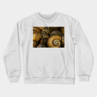 Apple Snails Crewneck Sweatshirt